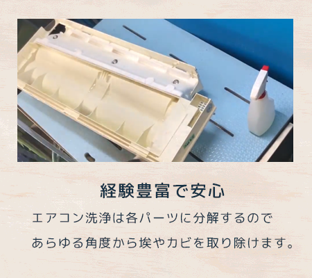 経験豊富